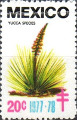 timbre succulent