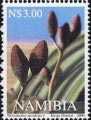 timbre succulent
