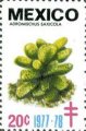timbre succulent
