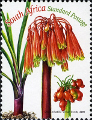 timbre succulent