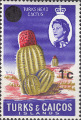 timbre succulent